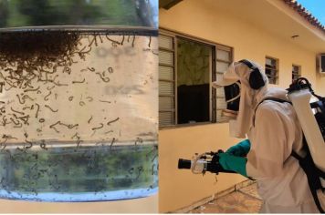 DHS lança campanha contra o Aedes Aegypti