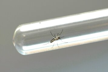 Vigilância Sanitária segue com ações de combate ao mosquito Aedes Aegypti