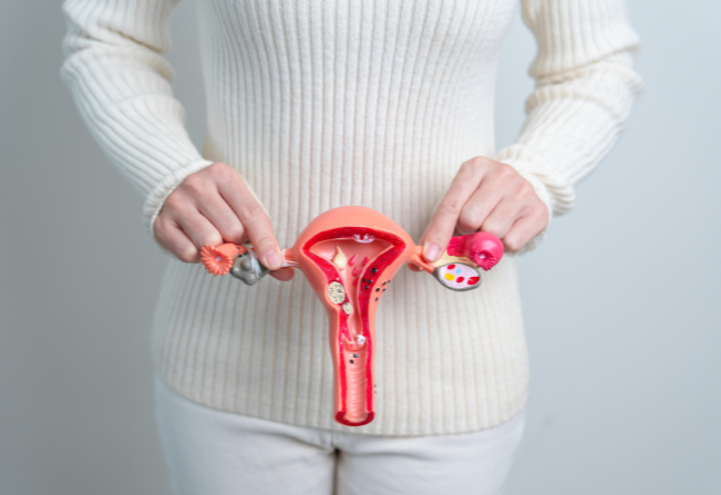 Endometriose: Impactos na Qualidade de Vida e a Busca por Diagnóstico e Tratamento