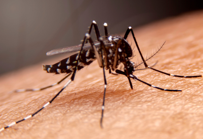 Departamento de Higiene e Saúde de Pompeia investiga morte de idosa com suspeita de dengue